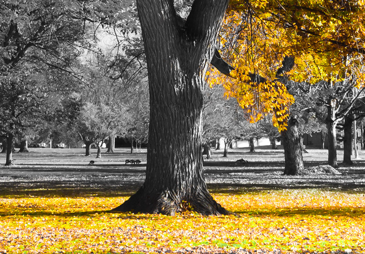 Large canvas print Autumn in the Park (Gold) [Large Format] 125598 additionalImage 3