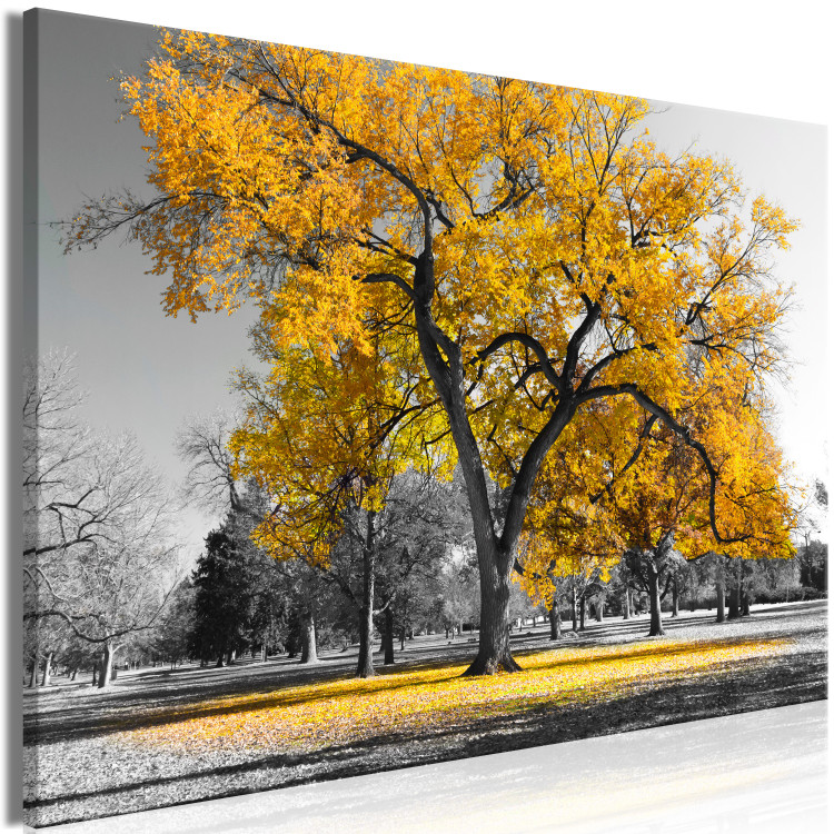 Large canvas print Autumn in the Park (Gold) [Large Format] 125598 additionalImage 2