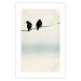 Poster Frozen Sparrows - black birds on wires on delicate colored background 129598 additionalThumb 19