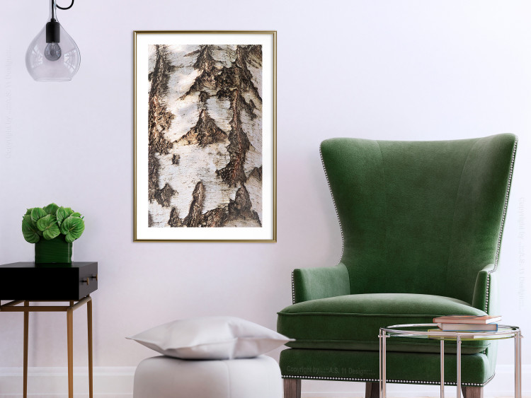 Wall Poster Beautiful Texture - birch tree bark texture in light color 130798 additionalImage 13