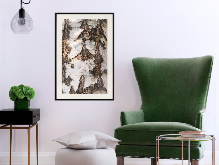 Wall Poster Beautiful Texture - birch tree bark texture in light color 130798 additionalImage 24