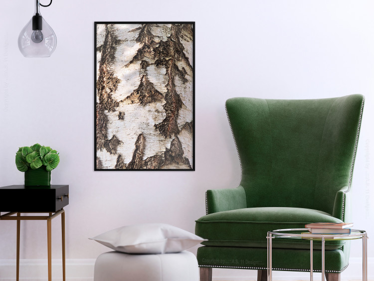 Wall Poster Beautiful Texture - birch tree bark texture in light color 130798 additionalImage 4