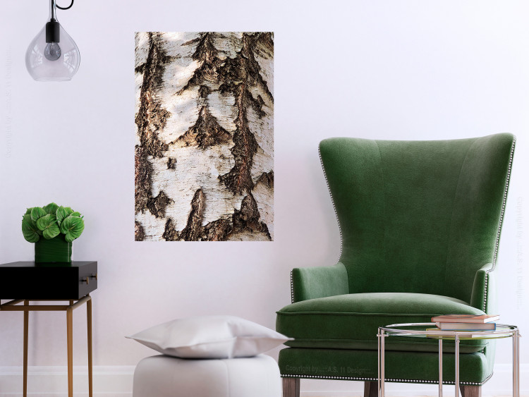 Wall Poster Beautiful Texture - birch tree bark texture in light color 130798 additionalImage 2