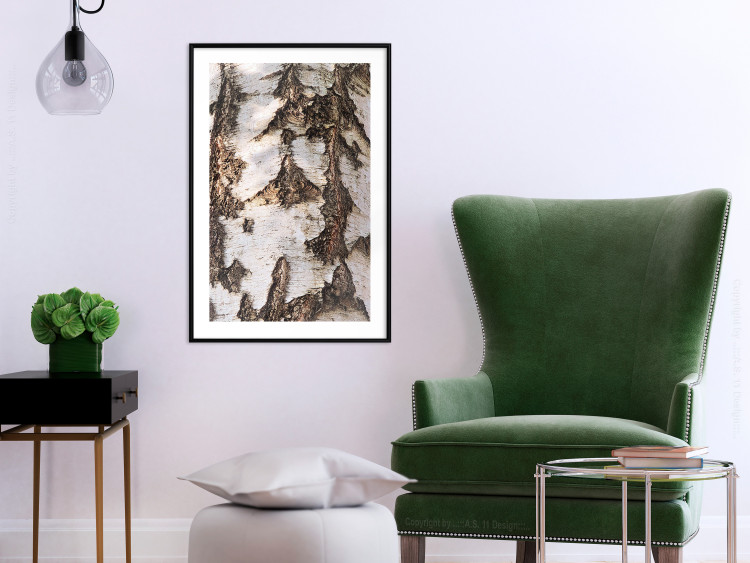 Wall Poster Beautiful Texture - birch tree bark texture in light color 130798 additionalImage 23