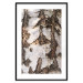 Wall Poster Beautiful Texture - birch tree bark texture in light color 130798 additionalThumb 15