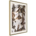 Wall Poster Beautiful Texture - birch tree bark texture in light color 130798 additionalThumb 3