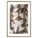 Wall Poster Beautiful Texture - birch tree bark texture in light color 130798 additionalThumb 14