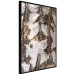 Wall Poster Beautiful Texture - birch tree bark texture in light color 130798 additionalThumb 13