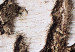 Wall Poster Beautiful Texture - birch tree bark texture in light color 130798 additionalThumb 9