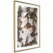 Wall Poster Beautiful Texture - birch tree bark texture in light color 130798 additionalThumb 9