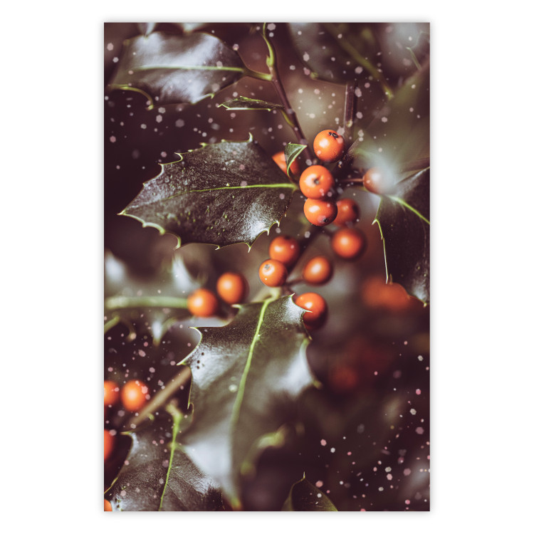 Wall Poster Magic Shrub - plant with green leaves in a wintry holiday atmosphere 132198
