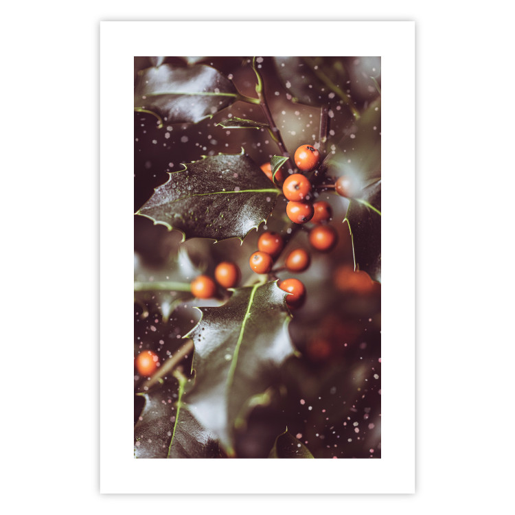 Wall Poster Magic Shrub - plant with green leaves in a wintry holiday atmosphere 132198 additionalImage 25