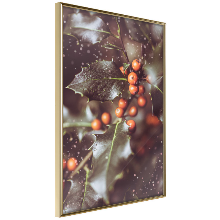 Wall Poster Magic Shrub - plant with green leaves in a wintry holiday atmosphere 132198 additionalImage 12