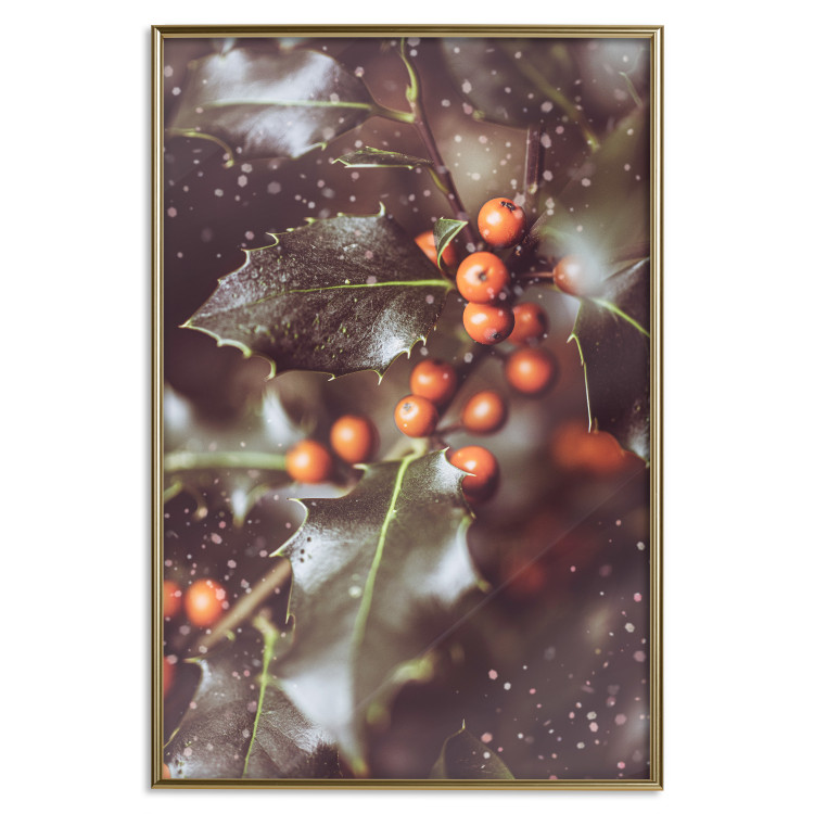 Wall Poster Magic Shrub - plant with green leaves in a wintry holiday atmosphere 132198 additionalImage 21