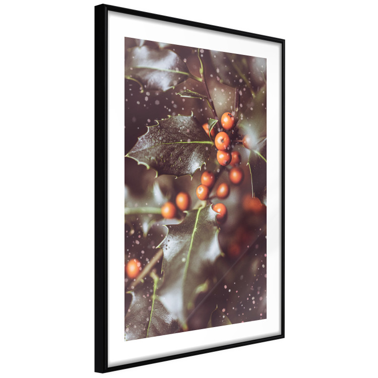 Wall Poster Magic Shrub - plant with green leaves in a wintry holiday atmosphere 132198 additionalImage 6