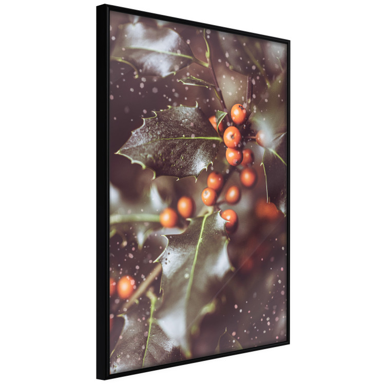 Wall Poster Magic Shrub - plant with green leaves in a wintry holiday atmosphere 132198 additionalImage 11