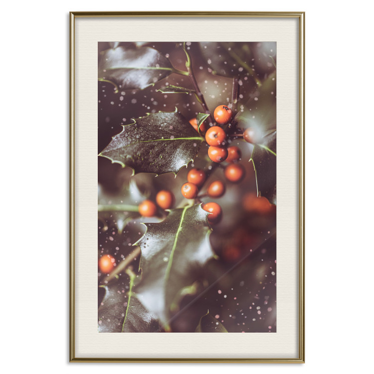 Wall Poster Magic Shrub - plant with green leaves in a wintry holiday atmosphere 132198 additionalImage 20