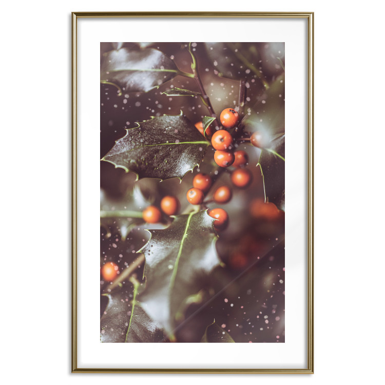 Wall Poster Magic Shrub - plant with green leaves in a wintry holiday atmosphere 132198 additionalImage 16