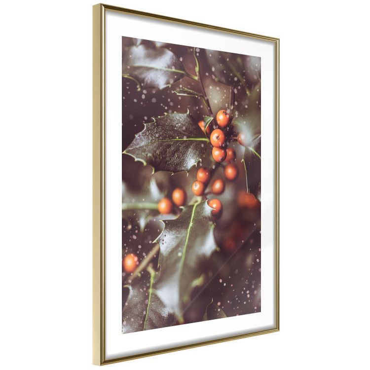 Wall Poster Magic Shrub - plant with green leaves in a wintry holiday atmosphere 132198 additionalImage 7