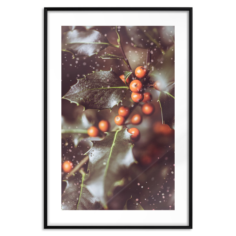Wall Poster Magic Shrub - plant with green leaves in a wintry holiday atmosphere 132198 additionalImage 15