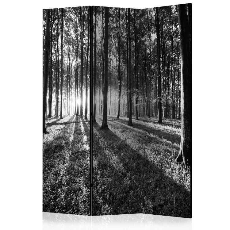 Room Separator Grey Wilderness - black and white forest landscape with densely arranged trees 134098