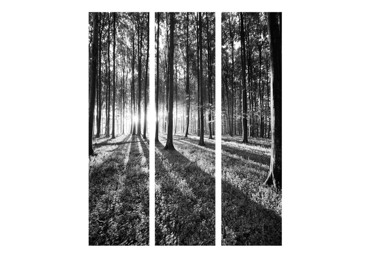 Room Separator Grey Wilderness - black and white forest landscape with densely arranged trees 134098 additionalImage 3