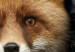 Poster Fox in Flowers - portrait of a fox against a background of green plants and flowers 138698 additionalThumb 10
