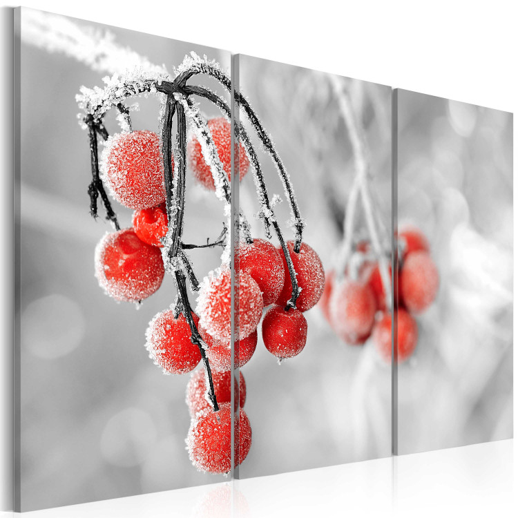 Canvas Art Print Winter is coming 58798 additionalImage 2
