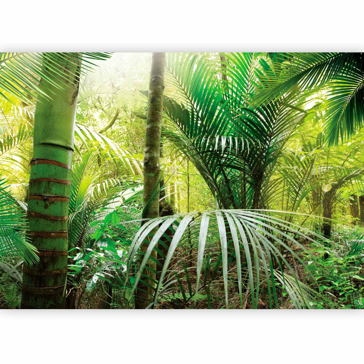 Wall Mural Green alley 60098 additionalImage 5