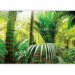 Wall Mural Green alley 60098 additionalThumb 1