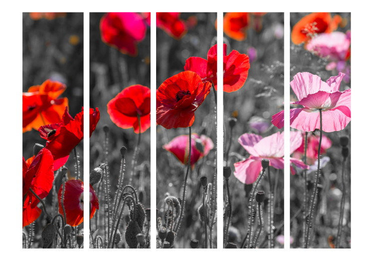 Room Separator Red Poppies II - red summer poppy flowers on a black and white background 96998 additionalImage 3