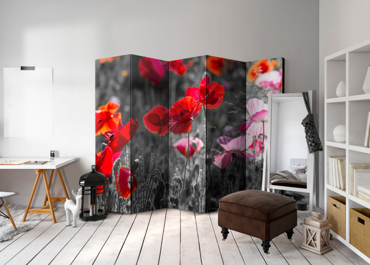 Room Separator Red Poppies II - red summer poppy flowers on a black and white background 96998 additionalImage 4