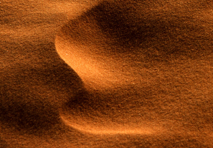 Poster Footprints in the Sand - a desert dune landscape in shades of orange 116509 additionalImage 9