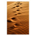 Poster Footprints in the Sand - a desert dune landscape in shades of orange 116509