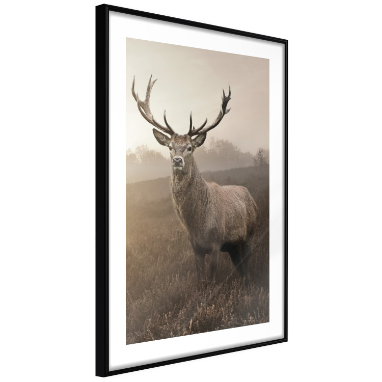 Wall Poster Sepia Deer - autumn landscape with an animal amid field grass 119209 additionalImage 13