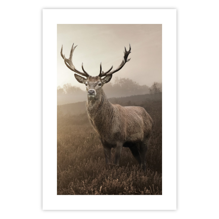Wall Poster Sepia Deer - autumn landscape with an animal amid field grass 119209 additionalImage 25