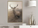 Wall Poster Sepia Deer - autumn landscape with an animal amid field grass 119209 additionalThumb 5