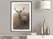Wall Poster Sepia Deer - autumn landscape with an animal amid field grass 119209 additionalThumb 4