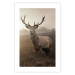 Wall Poster Sepia Deer - autumn landscape with an animal amid field grass 119209 additionalThumb 25