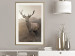 Wall Poster Sepia Deer - autumn landscape with an animal amid field grass 119209 additionalThumb 21