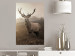 Wall Poster Sepia Deer - autumn landscape with an animal amid field grass 119209 additionalThumb 23