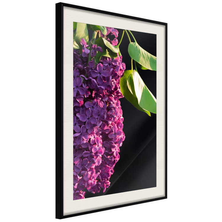 Wall Poster Spring Colors - botanical composition with purple lilac flowers and leaves 121909 additionalImage 3