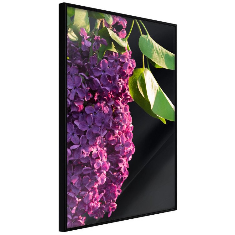Wall Poster Spring Colors - botanical composition with purple lilac flowers and leaves 121909 additionalImage 12