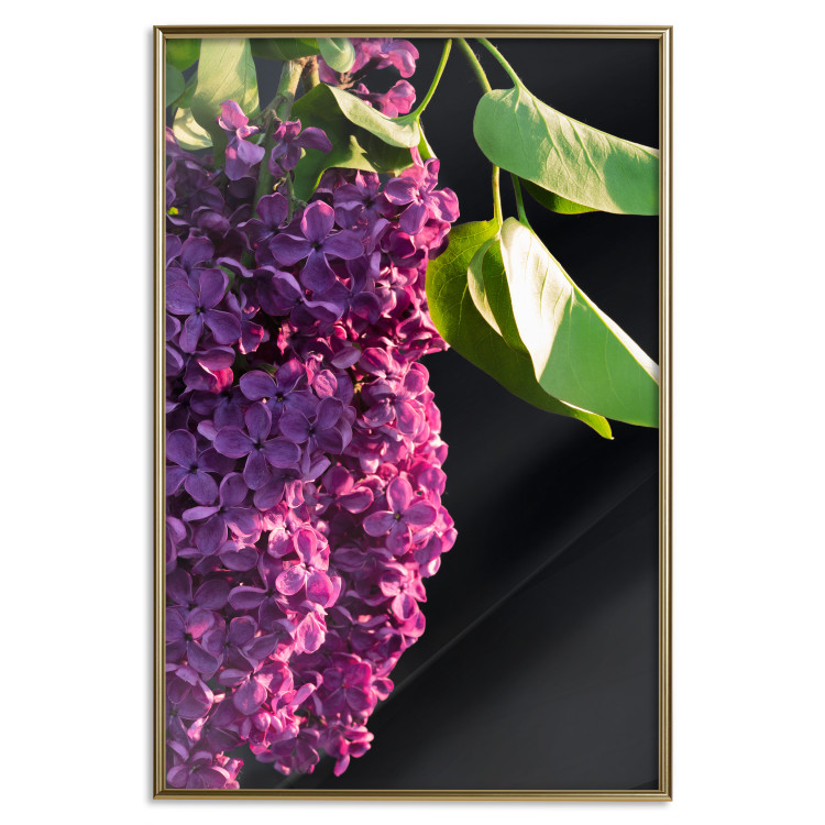 Wall Poster Spring Colors - botanical composition with purple lilac flowers and leaves 121909 additionalImage 25