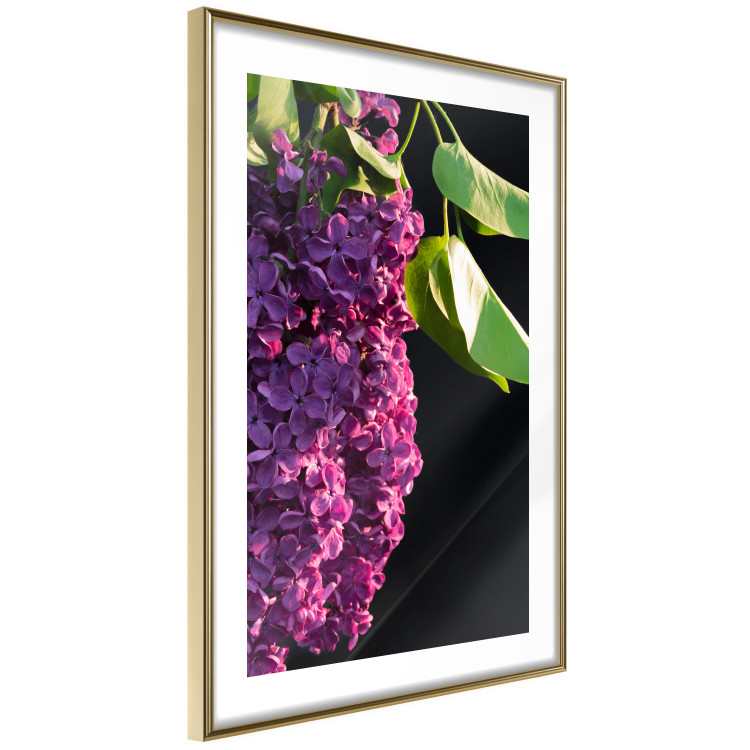 Wall Poster Spring Colors - botanical composition with purple lilac flowers and leaves 121909 additionalImage 8