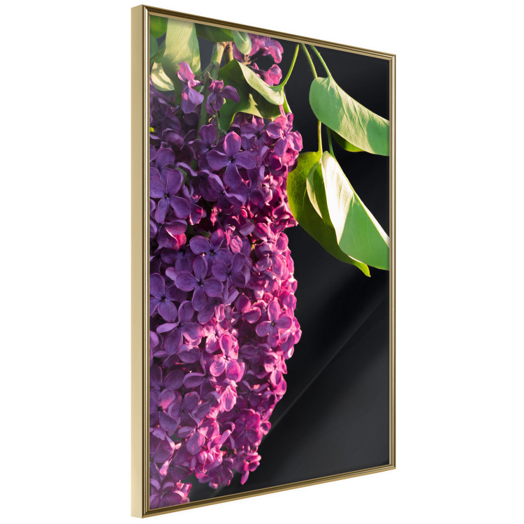 Wall Poster Spring Colors - botanical composition with purple lilac flowers and leaves 121909 additionalImage 14