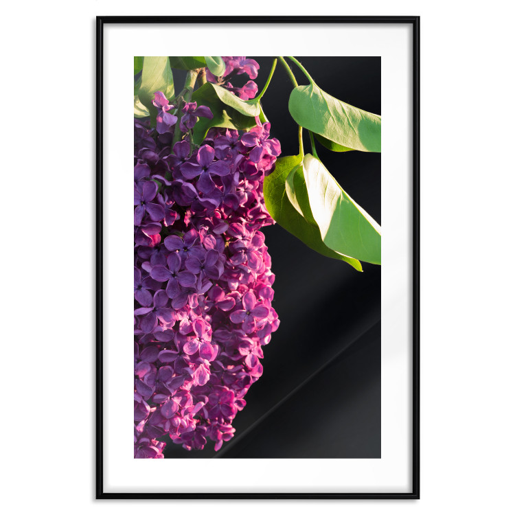 Wall Poster Spring Colors - botanical composition with purple lilac flowers and leaves 121909 additionalImage 19