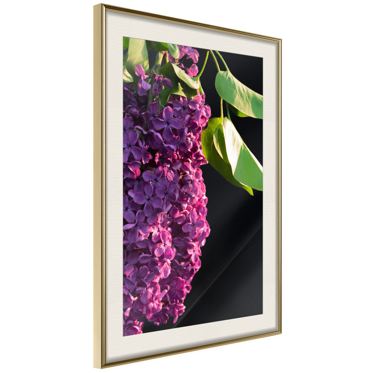 Wall Poster Spring Colors - botanical composition with purple lilac flowers and leaves 121909 additionalImage 2