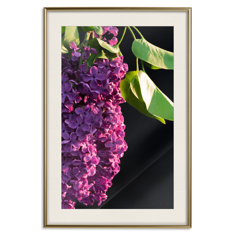 Wall Poster Spring Colors - botanical composition with purple lilac flowers and leaves 121909 additionalImage 23