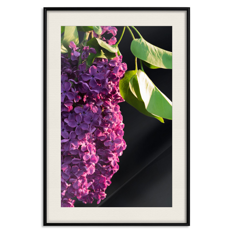 Wall Poster Spring Colors - botanical composition with purple lilac flowers and leaves 121909 additionalImage 22